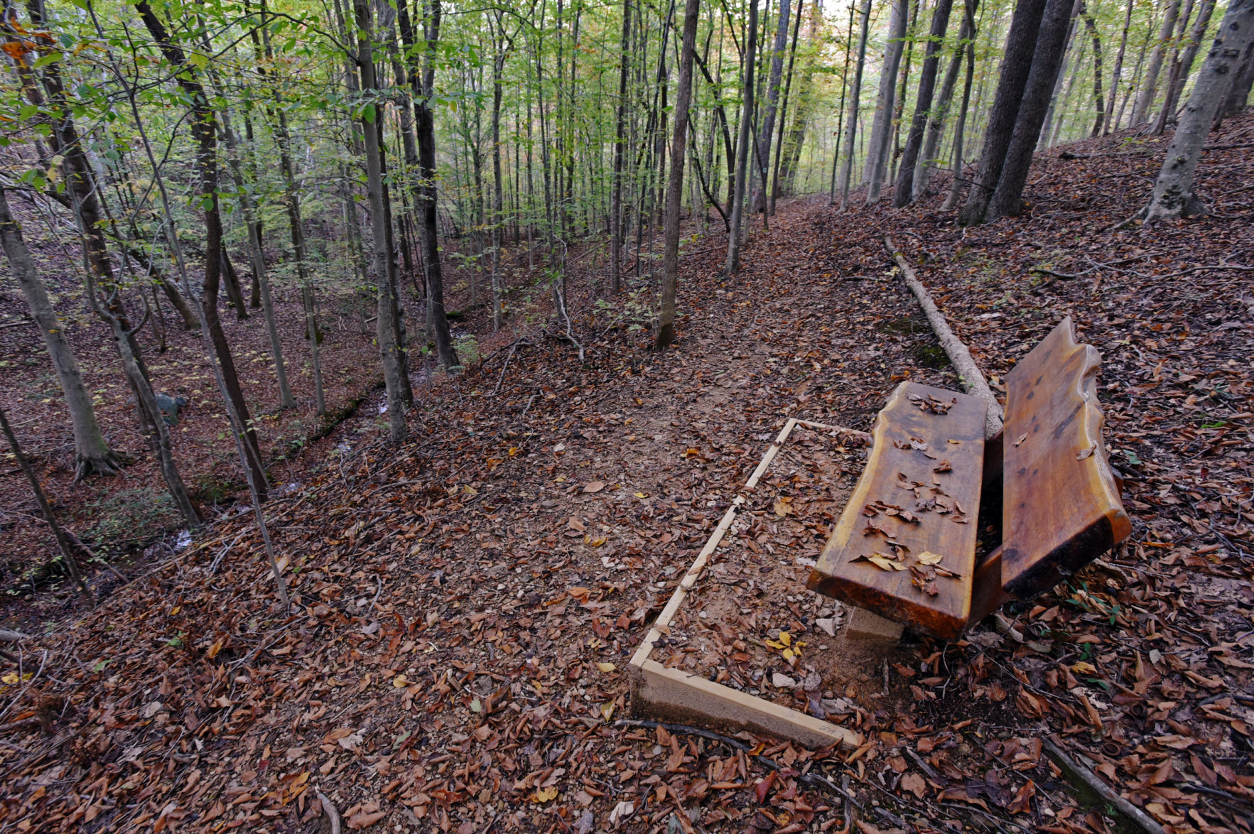 Knight Brown Nature Preserve